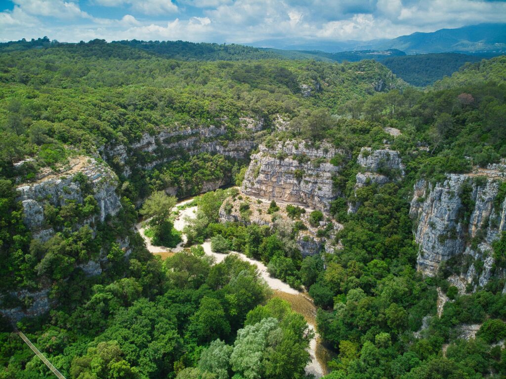 Aerial view capturing the lush greenery and rocky cliffs of Verdon Gorge in France.